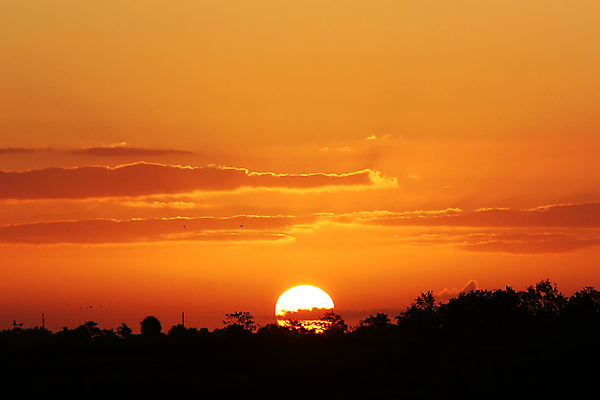 포토 JPG 해외이미지 구름 실루엣 백그라운드 컨셉 오렌지 자연 하늘 아침 날씨 휴가 아이디어 그림자 풍경 사람없음 야외 공중 빛 컬러풀 햇빛 태양 뷰티 노란색 일출 일몰 새벽 꿈 낭만 기상 전원 뜨거움 영혼 황금 청동 마법 천국 빛망울 연소 해외포토 주간 자연요소 컬러 과일 모션 촬영기법 노을 전기에너지 생태계 파일형식 이미지허브