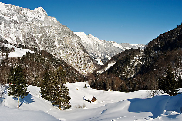 포토 JPG 해외이미지 나무 계절 여행 겨울 밭 자연 아침 휴가 휴식 산 주택 풍경 사람없음 뷰티 맑음 얼음 추위 스위스 서리 알프스 장면 해외포토 주간 자연요소 식물 유럽 컨셉 농업 날씨 건물 생태계 파일형식 이미지허브
