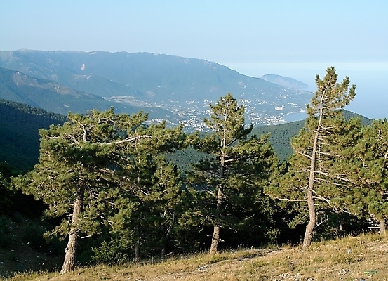 포토 JPG 해외이미지 나무 식물 구름 공원 도로 모래 바다 여행 잎 자연 하늘 휴가 휴식 산 따뜻함 풍경 사람없음 야외 건물 초록색 물 여름 파란색 빛 뷰티 여행객 맑음 스파 도시 만 가장자리 정상 크루즈 언덕 휴양지 남쪽 절정 평야 수평선 해외포토 자연요소 건축물 계절 공공시설 길 컬러 컨셉 배_교통 교통시설 날씨 사람 장소 둘레 방향 생태계 파일형식 이미지허브