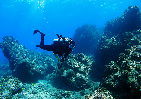 포토 JPG 해외이미지 모래 스포츠 어류 가면 한명 물 파란색 머리 수중 미국 거품 산호 호흡 다이빙 하와이 탱크 지느러미 암초 첨탑 깊이 해외포토 자연요소 1 컬러 북아메리카 사람 신체부위 탑 수영 수중동물 자포동물 수중스포츠 파일형식 이미지허브