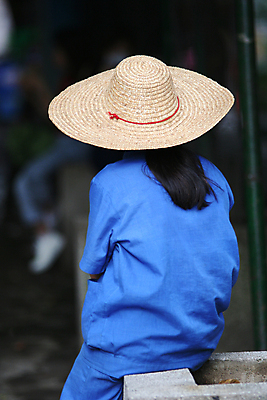 포토 JPG 해외이미지 옷 여자 아시아 거리 사람 앉기 동양인 사람없음 파란색 머리카락 중국 장면 베이징 혼자 해외포토 나라 컬러 모션 인종 머리 파일형식 이미지허브