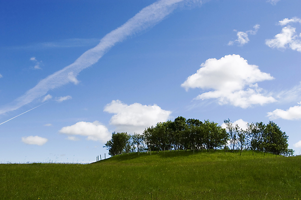 포토 JPG 해외이미지 나무 구름 밭 자연 하늘 풍경 잔디 초원 사람없음 야외 초록색 여름 파란색 태양 농장 우주 환경 봄 농촌 고독 밀 조경 수평선 해외포토 자연요소 식물 계절 감정 컬러 농업 곡류 시골 생태계 파일형식 이미지허브