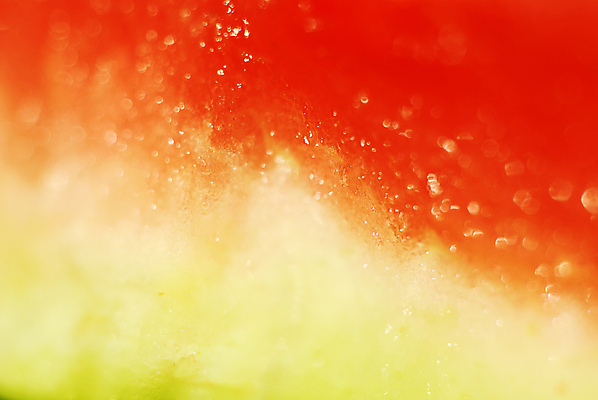 포토 JPG 해외이미지 식물 농업 다이어트 과일 아프리카 수박 건강 육류 씨앗 사람없음 빨간색 초록색 멜론 바이오 해외포토 나라 산업 컬러 식재료 파일형식 이미지허브