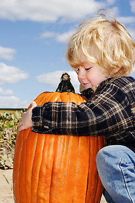 포토 JPG 해외이미지 전통 라이프스타일 응시 계절 남자 아들 어린이 밭 농업 채소 부분 호박 휴가 관리 한명 미소 소년 야외 청춘 농장 축제 할로윈 추위 수확 가을 아기 선택 큼 11월 수집 호기심 박 추수감사절 공평 10월 걸음마 포상금 해외포토 1 시선 감정 산업 기독교 컨셉 돈 가족 모션 표정 사람 생활 날짜 크기 파일형식 이미지허브