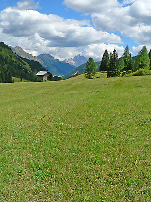 포토 JPG 해외이미지 나무 여행 자연 하늘 산 사람없음 야외 초록색 파란색 추위 숲 언덕 해외포토 식물 컬러 생태계 파일형식 이미지허브