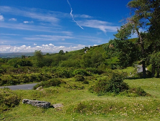 포토 JPG 해외이미지 나무 영국 잉글랜드 사람없음 맑음 시골 언덕 다트무어 해외포토 식물 유럽 날씨 파일형식 이미지허브