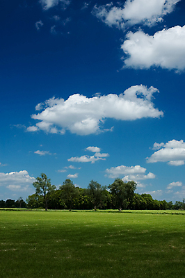 포토 JPG 해외이미지 나무 구름 밭 농업 하늘 풍경 초원 사람없음 야외 초록색 여름 파란색 봄 숲 네덜란드 해외포토 자연요소 식물 계절 유럽 산업 컬러 파일형식 이미지허브