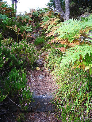 포토 JPG 해외이미지 독일 노르웨이 사람없음 죽음 성 공군 러시아 해군 소련 해외포토 건축물 유럽 군대 파일형식 이미지허브