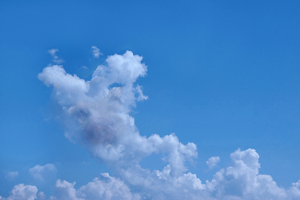 포토 JPG 해외이미지 모양 동물 백그라운드 돈 비즈니스 하늘 날씨 사람없음 금융 빛 동전 저축 돼지저금통 흰색 비행 양 면 돼지 절약 투자 폭풍 솜털 나쁜 몽환 해외포토 컬러 컨셉 포유류 경제 저금통 재산 파일형식 이미지허브