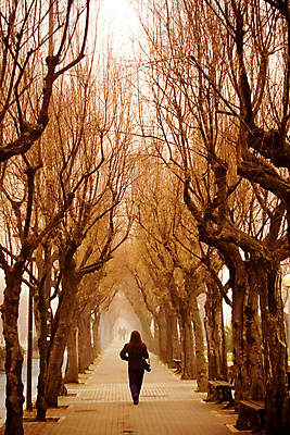 포토 JPG 해외이미지 도로 사람 사람없음 안개 세피아 혼자 해외포토 길 교통시설 날씨 촬영기법 파일형식 이미지허브