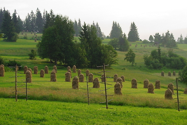 포토 JPG 해외이미지 산 사람없음 초록색 쌓기 안개 볏짚 뿌연 많음 해외포토 컬러 컨셉 모션 날씨 짚 파일형식 이미지허브