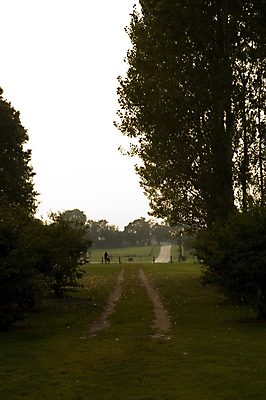 포토 JPG 해외이미지 나무 길 자연 사람없음 목재 세로 컬러풀 평화 환경보전 해외포토 식물 컬러 컨셉 재료 사회이슈 생태계 파일형식 이미지허브