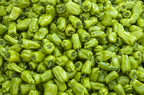 포토 JPG 해외이미지 음식 백그라운드 다이어트 채소 재료 건강 사람없음 초록색 신선 작음 먹기 유기농 날것 후추 비타민 채식주의자 많음 해외포토 웰빙 컬러 컨셉 모션 크기 향신료 채식 영양소 파일형식 이미지허브