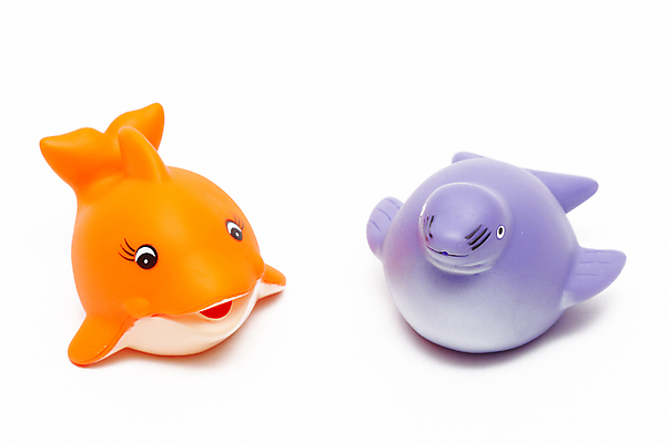 포토 JPG 해외이미지 어린이 백그라운드 오렌지 장난 놀이 어류 사람없음 물 장난감 수영 젖음 욕실 흰색 떨어짐 씻기 플라스틱 물개 청소 오브젝트 고무 라일락 고립 샤워실 압력 해외포토 자연요소 꽃 컬러 컨셉 과일 포유류 재질 사람 바다동물 수중동물 청결 수상스포츠 샤워시설 파일형식 이미지허브