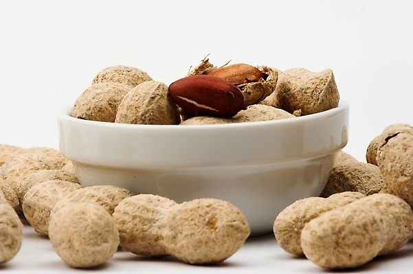 포토 JPG 해외이미지 잡화 음식 다이어트 재료 건강 사람없음 견과류 껍질 맛 알맹이 날것 땅콩 알레르기 꼬투리 식욕 절임 핵심 맛있는 해외포토 컨셉 질병 파일형식 이미지허브