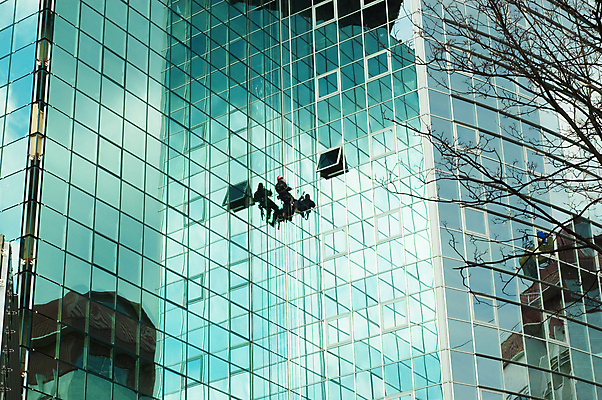 포토 JPG 해외이미지 주간 전신 남자 밧줄 매달리기 외벽 한명 사람 빌딩 성인 야외 건물 뒷모습 반사 나뭇가지 작업 청소부 유리창청소 성인남자한명만 외벽청소 해외포토 자연요소 나무 직업 1 건축물 줄 벽 뷰포인트 모션 청소 남자한명만 성인남자만 파일형식 이미지허브