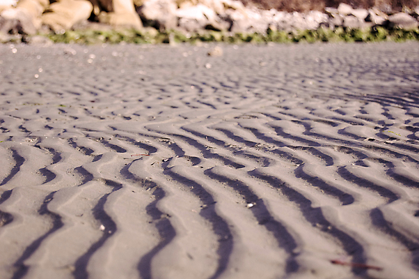 포토 JPG 해외이미지 모래 파도 바다 백그라운드 패턴 조류 사람없음 모래사장 줄무늬 썰물 지역 잔물결 해외포토 동물 물결 무늬 파일형식 이미지허브