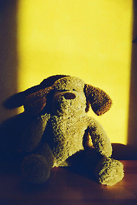 포토 JPG 해외이미지 벽 곰 포옹 조명 그림자 사람없음 빛 장난감 갈색 노란색 어둠 고독 아기사슴 혼자 해외포토 동물 감정 새끼 컬러 포유류 안기 사슴 파일형식 이미지허브