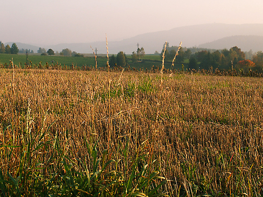 포토 JPG 해외이미지 유럽 여행 밭 농업 자연 풍경 사람없음 가을 시골 저녁 언덕 체코 해외포토 계절 나라 산업 야간 생태계 파일형식 이미지허브