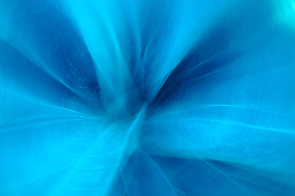 포토 JPG 해외이미지 모양 디자인 과학 백그라운드 컨셉 일러스트 비즈니스 모션 추상 미래 미술 사람없음 그래픽 물 파란색 빛 컬러풀 우주 디지털 검은색 활발 광선 구멍 발표 터널 떨어짐 폭발 속도 질감 광 블러 혼란 몽환 막 해외일러스트 자연요소 길 컬러 무늬 문화예술 파일형식 이미지허브