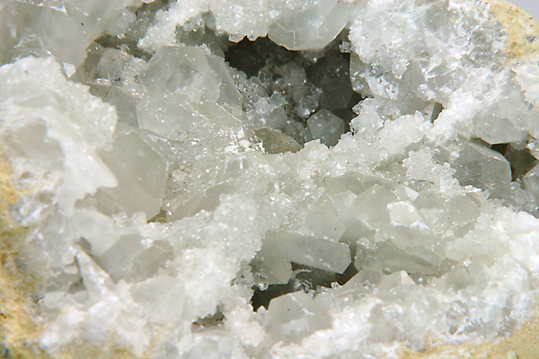 포토 JPG 해외이미지 꽃 모래 백그라운드 아프리카 자연 이집트 사람없음 장미 사막 황금 크리스탈 묘사 오브젝트 질감 레이아웃 사하라 내추럴 이국적 지질학 튀니지 효과 해외포토 식물 교육 나라 광석 생태계 파일형식 이미지허브