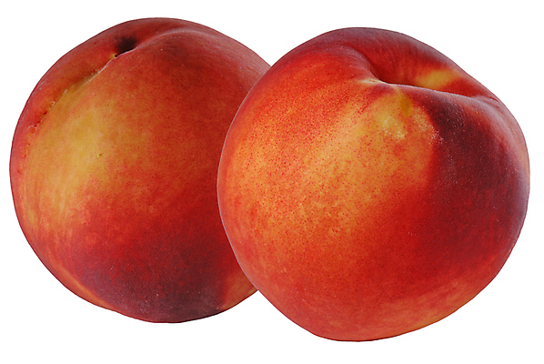 포토 JPG 해외이미지 커플 음식 백그라운드 2 농업 다이어트 오렌지 자연 건강 사람없음 빨간색 노란색 흰색 신선 원형 시장 달콤 아침식사 먹기 오브젝트 싱글 상쾌 유기농 날것 복숭아 내추럴 고립 살구 숙성 식용 채식주의자 맛있는 해외포토 도형 웰빙 감정 산업 컬러 과일 관계 모션 식사 맛 생태계 채식 파일형식 이미지허브