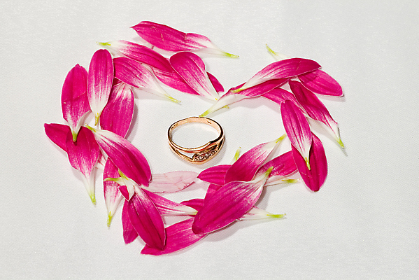 포토 JPG 해외이미지 꽃잎 꽃 분홍색 결혼 백그라운드 자연 발렌타인데이 선물 사랑 사람없음 정원 봄 벚꽃 흰색 하트 반지 황금 데이지 해외포토 모양 식물 계절 감정 컬러 장신구 데이이벤트 이벤트 생태계 파일형식 이미지허브