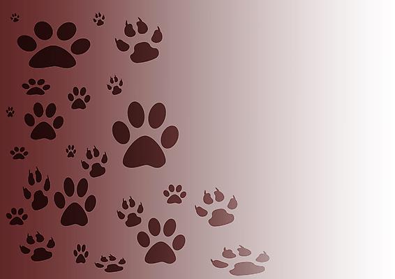 포토 JPG 해외이미지 디자인 포스터 백그라운드 패턴 일러스트 발 추상 프레임 경사 사람없음 장식 우주 신용카드 발자국 양발 자취 해외일러스트 무늬 자국 신체부위 금융 파일형식 이미지허브