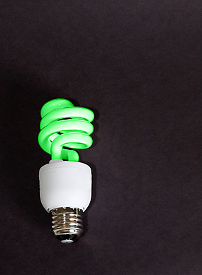 포토 JPG 해외이미지 식물 지구 전구 사람없음 초록색 빛 힘 저축 절약 빛망울 해외포토 컬러 컨셉 금융 파일형식 이미지허브