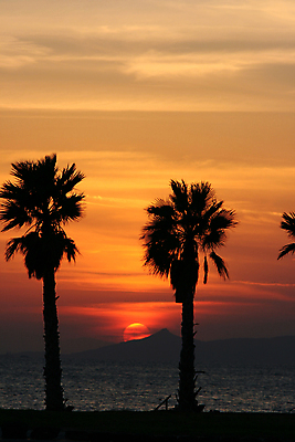 포토 JPG 해외이미지 나무 바다 섬 백그라운드 자연 하늘 산 창조 그림자 사람없음 야외 물 빛 세트 태양 노란색 평화 일출 검은색 일몰 놀람 황금 저녁 상승 설정 이국적 수평선 해외포토 자연요소 식물 감정 컬러 컨셉 표정 노을 야간 생태계 파일형식 이미지허브