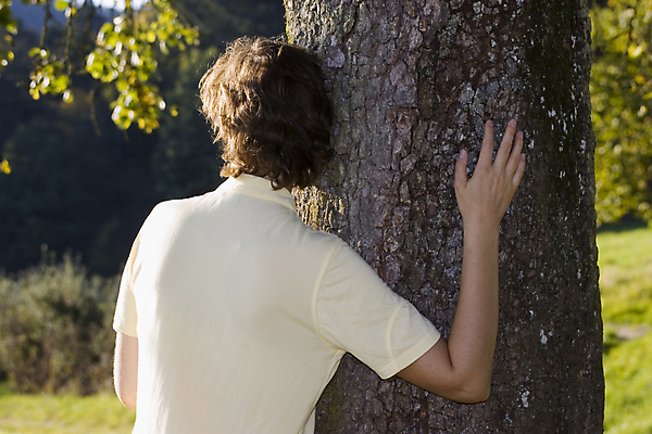 포토 JPG 해외이미지 나무 손 공원 여자 감정 손가락 포옹 자연 사랑 한명 사람 야외 목재 여름 환경 맑음 기댐 일몰 꿈 낭만 가을 잡기 보호 숲 생태계 방패 내추럴 생태학 해외포토 식물 1 계절 공공시설 교육 컨셉 재료 안기 모션 날씨 신체부위 노을 파일형식 이미지허브