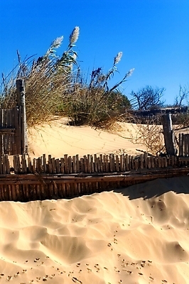 포토 JPG 해외이미지 식물 모래 바다 자연 하늘 휴가 해변 사람없음 목재 파란색 울타리 맑음 모래언덕 서식지 해외포토 나무 컬러 재료 날씨 담장 언덕 생태계 파일형식 이미지허브