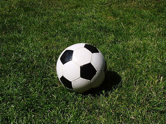 포토 JPG 해외이미지 스포츠 밭 공 놀이 경기 잔디 사람없음 축구 땅바닥 해외포토 식물 농업 바닥 구기 파일형식 이미지허브