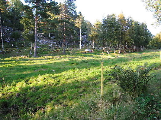 포토 JPG 해외이미지 독일 노르웨이 사람없음 죽음 성 공군 러시아 해군 소련 해외포토 건축물 유럽 군대 파일형식 이미지허브