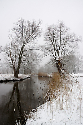포토 JPG 해외이미지 나무 계절 겨울 자연 풍경 사람없음 야외 물 강 냉동 추위 흰색 농촌 시골 개울 숲 12월 네덜란드 서리 폭설 해외포토 자연요소 식물 유럽 컬러 눈_날씨 날짜 자연재해 생태계 파일형식 이미지허브