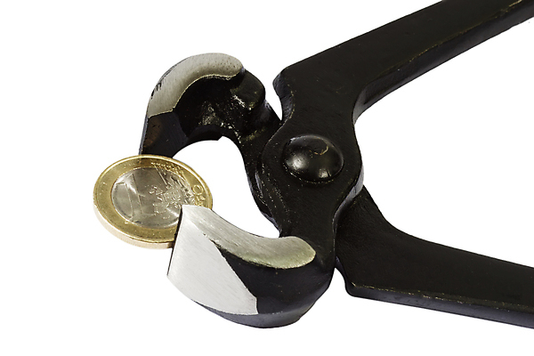 포토 JPG 해외이미지 1 산업 조각 돈 집게 사람없음 금융 경제 크래커 금속 동전 힘 장비 공구 잡기 오픈 시장 균열 닫기 위험 철 묘사 잠금 투자 언론 고정 펜치 정비공 고립 집게발 커터 하드웨어 비용 해외포토 컨셉 비즈니스 모션 재질 컴퓨터 쿠키 도구 기술자 재산 보안 파일형식 이미지허브