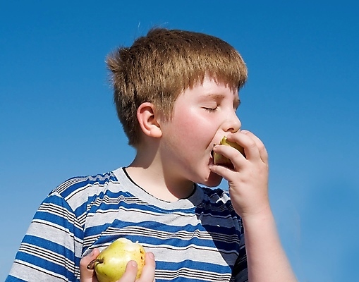 포토 JPG 해외이미지 라이프스타일 남자 행복 얼굴 어린이 음식 과일 학교 가족 하늘 건강 선물 한명 사람 소년 파란색 청춘 햇빛 태양 뷰티 머리 놀람 흰색 표현 신선 잡기 사과 과수원 먹기 알림 유기농 주말 고립 제의 해외포토 자연요소 1 웰빙 교육 감정 컬러 컨셉 농업 관계 모션 표정 생활 신체부위 파일형식 이미지허브