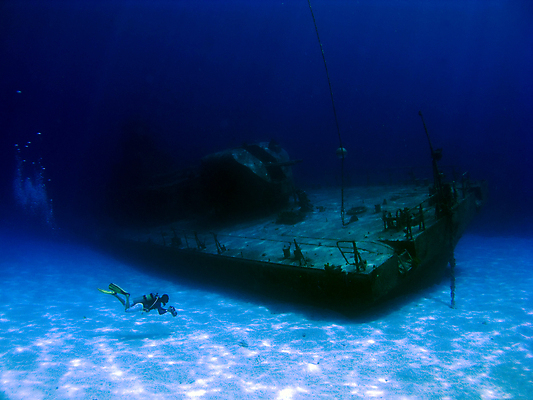 포토 JPG 해외이미지 바다 섬 어류 가면 한명 물 파란색 수중 부채 산호 탱크 지느러미 암초 조난 총포 해외포토 자연요소 1 컬러 사람 수중동물 자포동물 파일형식 이미지허브