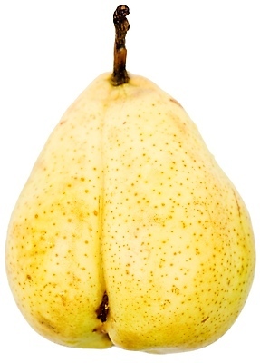 포토 JPG 해외이미지 음식 백그라운드 다이어트 과일 자연 디저트 건강 씨앗 사람없음 가을 신선 달콤 먹기 오브젝트 유기농 내추럴 숙성 해외포토 식물 웰빙 계절 모션 맛 생태계 파일형식 이미지허브