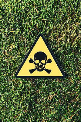 포토 JPG 스튜디오촬영 해골 실내 잔디 사람없음 하이앵글 팻말 위험 원자력 방사능 표식 국내포토 식물 뷰포인트 컨셉 뼈 프레임 내부 에너지 파일형식