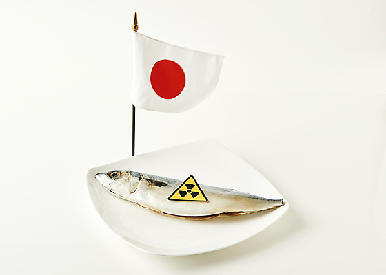 포토 JPG 스튜디오촬영 접시 실내 사람없음 위험 흰배경 고등어 일장기 원자력 방사능 원자력발전기호 피폭 국내포토 식기 기호 백그라운드 컨셉 어류 내부 에너지 흰색 국기 파일형식