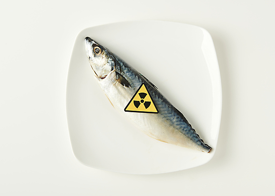 포토 식기 기호 뷰포인트 백그라운드 컨셉 실내 어류 내부 에너지 흰색 방사능 파일형식 접시 원자력발전기호 원자력 고등어 스튜디오촬영 하이앵글 JPG 흰배경 사람없음 피폭 위험 국내포토