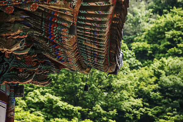포토 JPG 주간 한국전통 기와 풍경 사람없음 야외 사찰 단청 밀양 지붕처마 풍경종 국내포토 자연요소 전통 종교건축 지붕 한국 종 경상남도 처마 파일형식