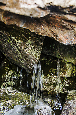 포토 JPG 주간 자연 사람없음 야외 여름 바위 경상남도 고드름 밀양 바위틈 얼음골 국내포토 자연요소 계절 얼음 돌_바위 경상도 생태계 파일형식