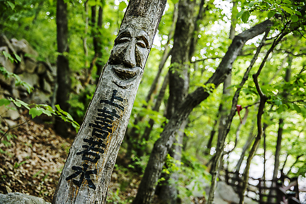 포토 JPG 주간 나무 한국전통 자연 풍경 사람없음 야외 아웃포커스 한자 숲 경상남도 장승 밀양 국내포토 자연요소 식물 문자 전통 한국 촬영기법 경상도 생태계 파일형식