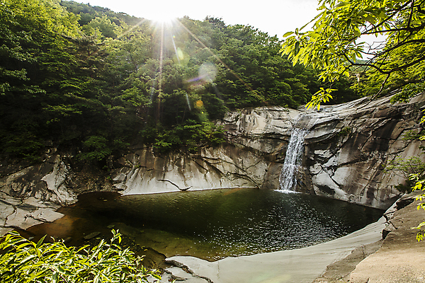 포토 JPG 주간 자연 나뭇잎 풍경 사람없음 야외 햇빛 계곡 폭포 경상남도 밀양 국내포토 자연요소 잎 태양 경상도 생태계 파일형식