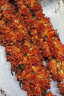 포토 JPG 주간 사람없음 야외 경상남도 가득함 특산물 통영 멍게 국내포토 자연요소 바다동물 경상도 파일형식