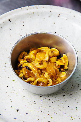 포토 JPG 그릇 쟁반 실내 사람없음 경상남도 담기 특산물 통영 멍게 국내포토 식기 모션 내부 바다동물 경상도 파일형식