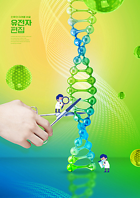 전신 PSD 편집이미지 손 남자 돋보기 가위 성인 두명 신체부위 연두색 원형 DNA 생명공학 연구원 자르기 성인남자만 이미지편집 도형 직업 의학 모션 문구용품 사람 초록색 남자만 성인만 파일형식