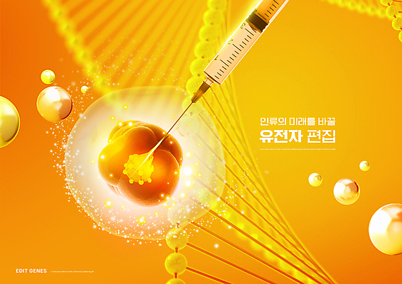 PSD 편집이미지 주사기 사람없음 빛 주황색 원형 DNA 생명공학 넣기 이미지편집 도형 컬러 의학 의료기기 모션 파일형식